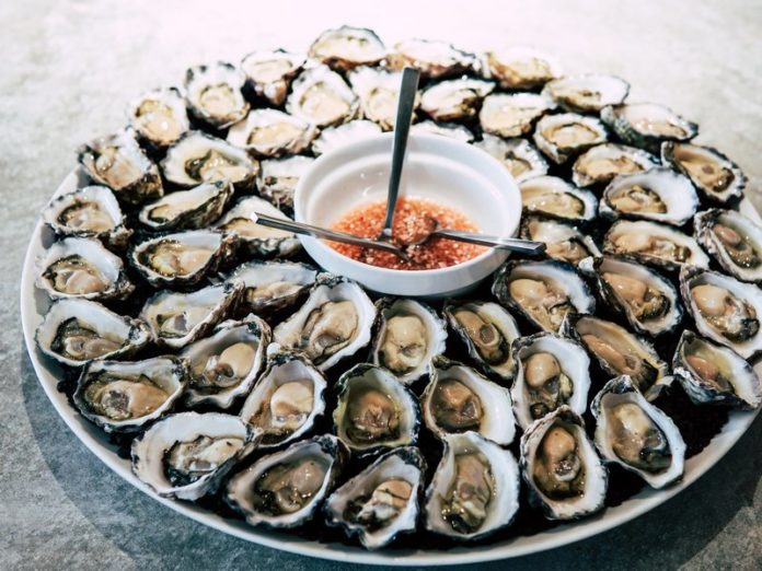oysters-tampa-fl-tpa