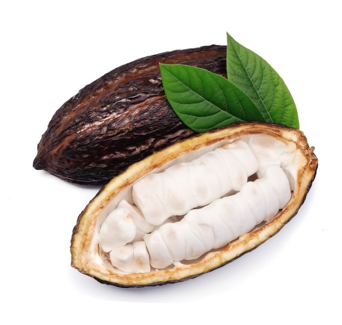 cacao-hawaii-chocolate