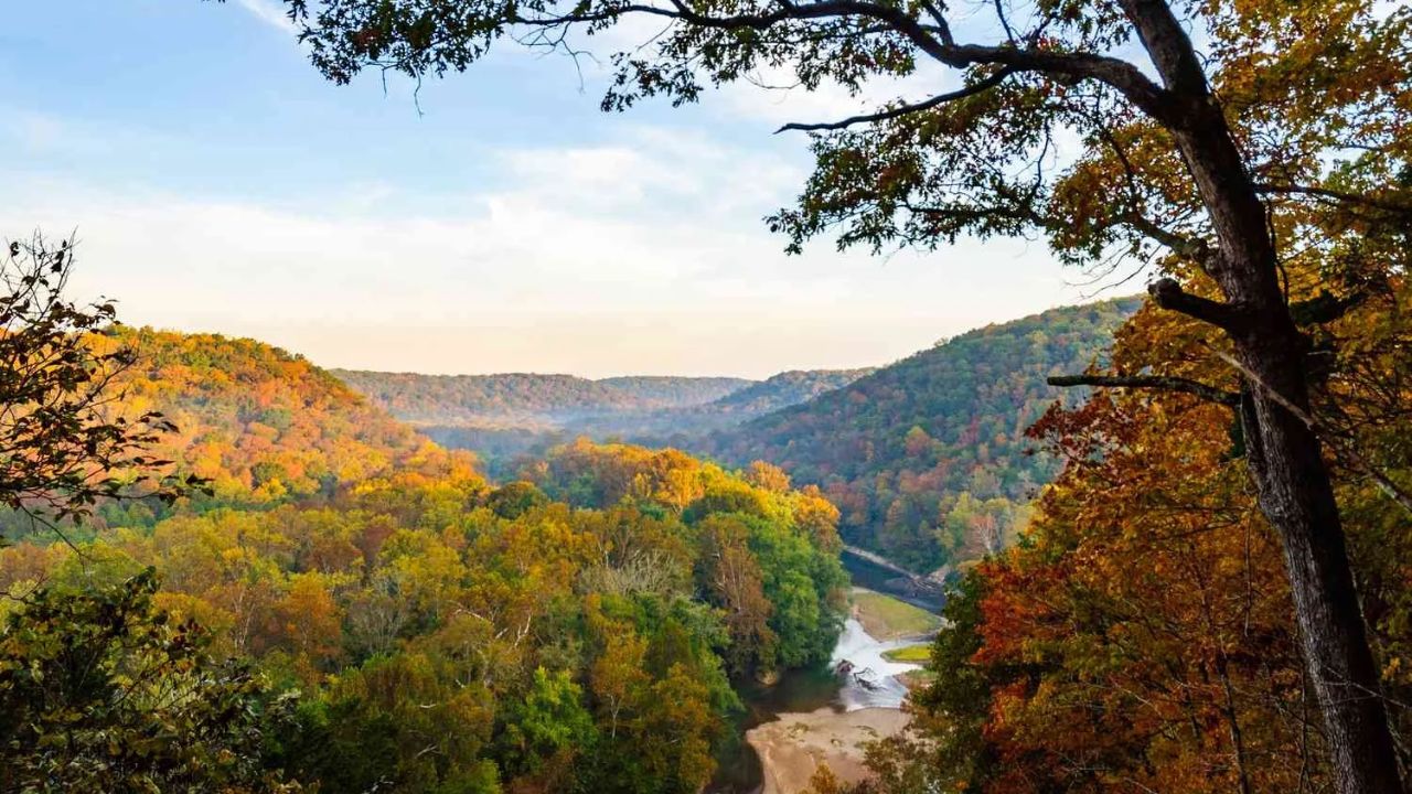 10 Scenic Drives in Kentucky Through Mountains, Horse Farms and Forests